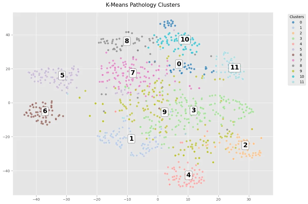 K-Means comparison