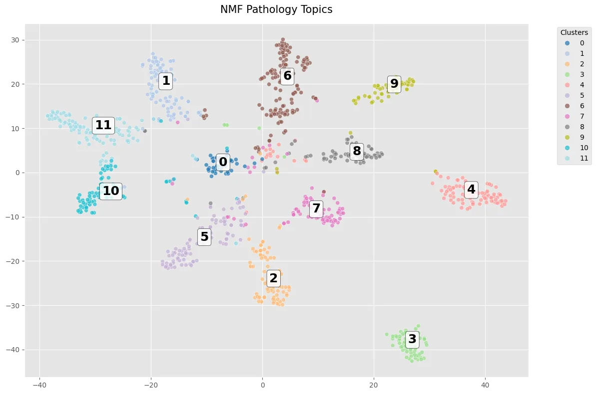 Témoignages de patients regroupés en 12 thèmes (NMF, t-SNE)